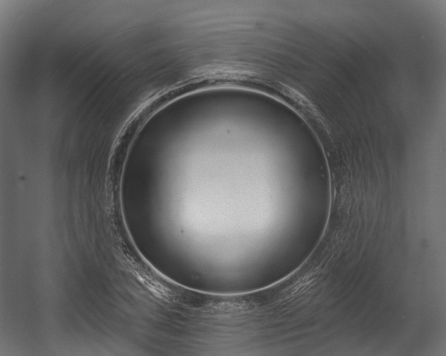 X0000058811027200510031341