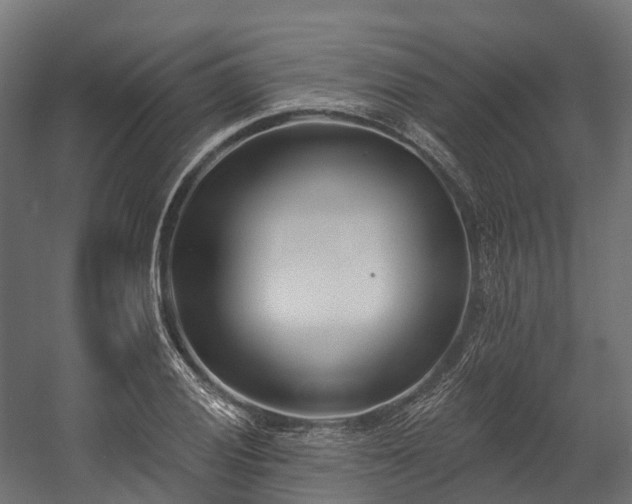 X0000058811028200510031341