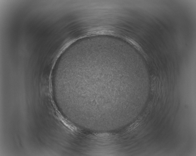 X0000058811031200510031341