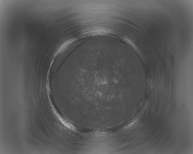 X0000058811034200510031341