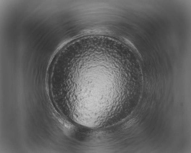 X0000058811035200510031341