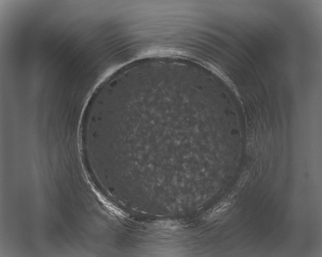 X0000058811037200510031341