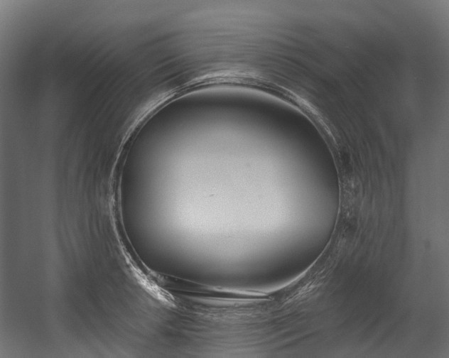 X0000058811042200510031341