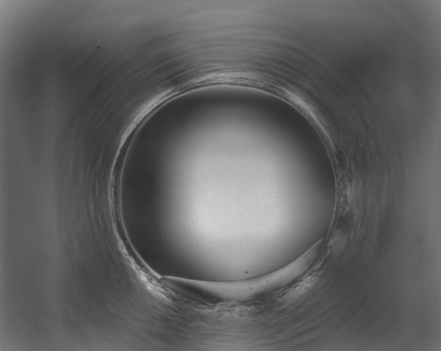 X0000058811050200510031341