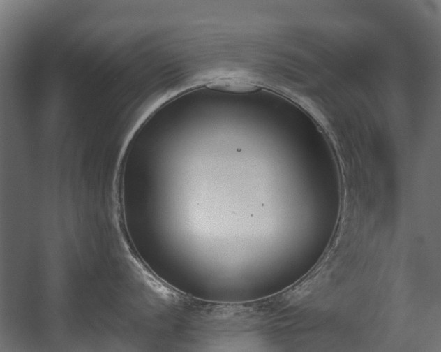 X0000058811056200510031342