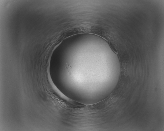 X0000058811057200510031341