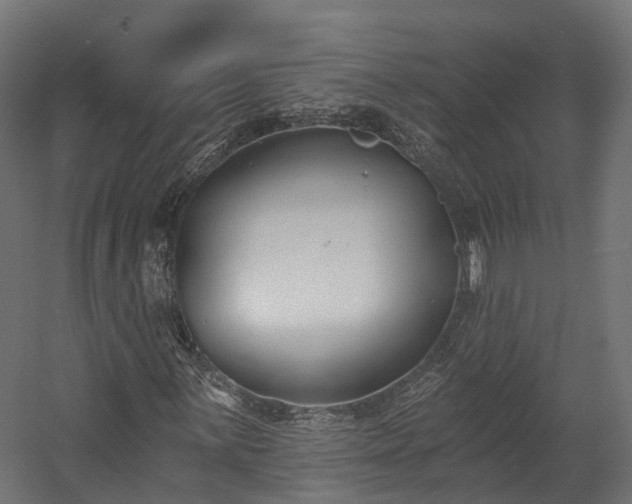 X0000058811059200510031341