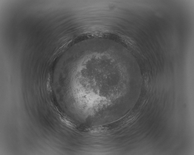 X0000058811060200510031341