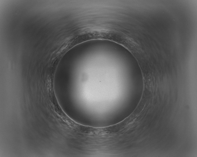 X0000058811061200510031341