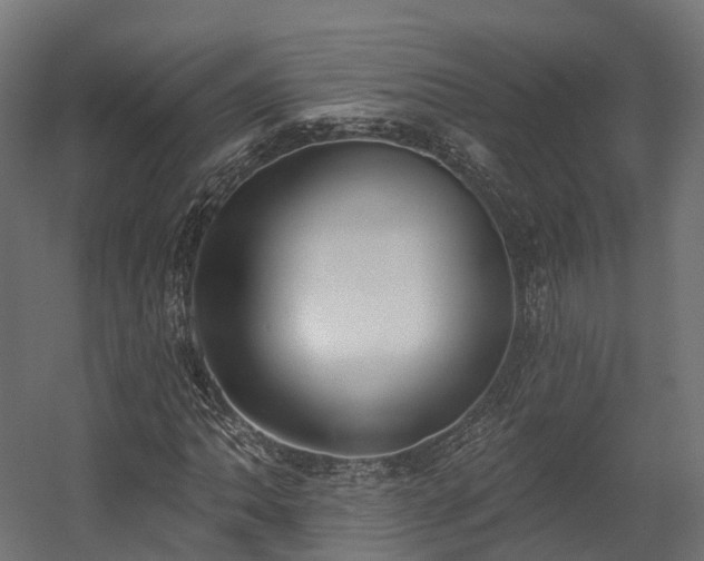 X0000058811062200510031341