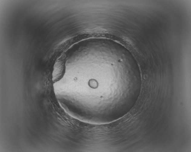 X0000058811063200510031341