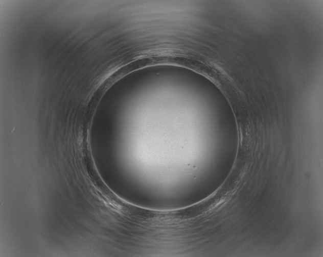 X0000058811065200510031341