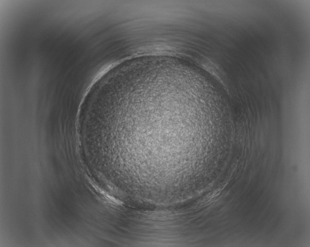 X0000058811071200510031340