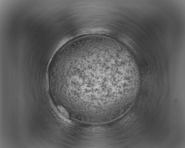 X0000058811079200510031340