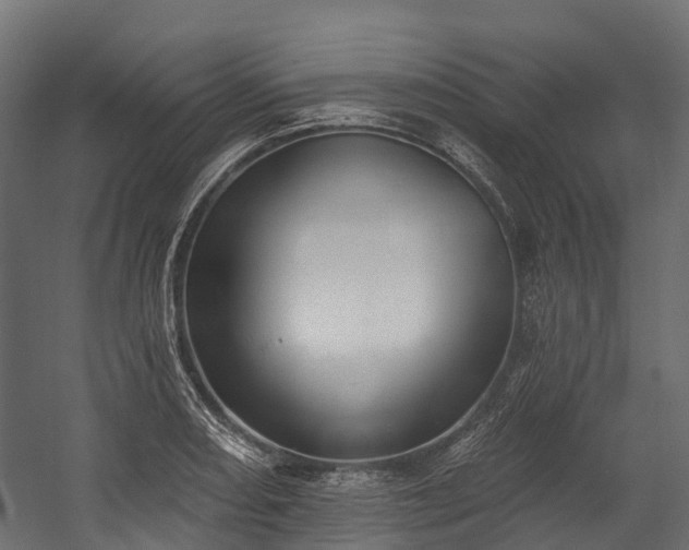 X0000058811082200510031340