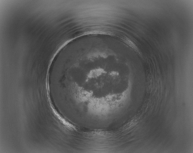 X0000058811084200510031340