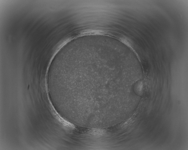 X0000058811090200510031340