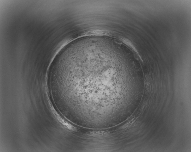 X0000058811091200510031340