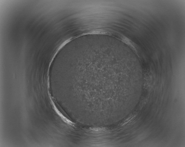 X0000058811095200510031340