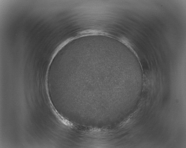 X0000058811098200510031340