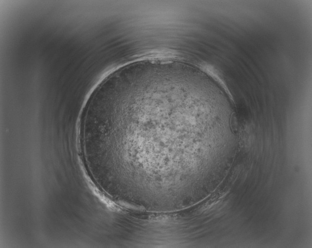 X0000058811099200510031340