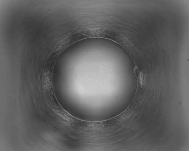 X0000058811107200510031339