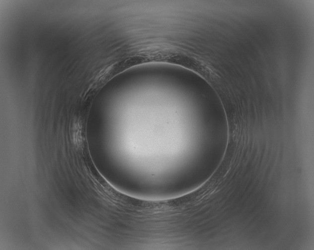 X0000058811108200510031339