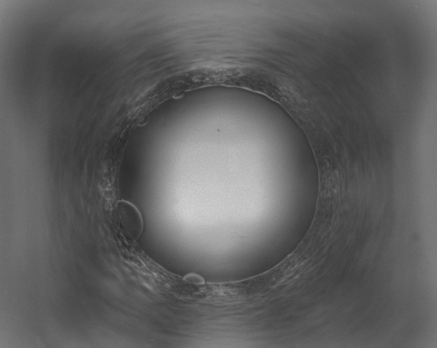 X0000058811109200510031339