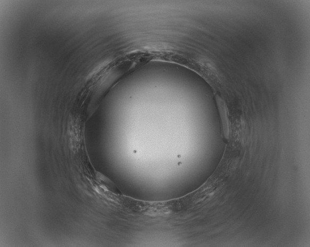 X0000058811110200510031339