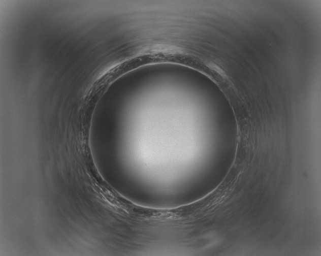 X0000058811112200510031339