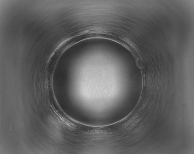 X0000058811115200510031339