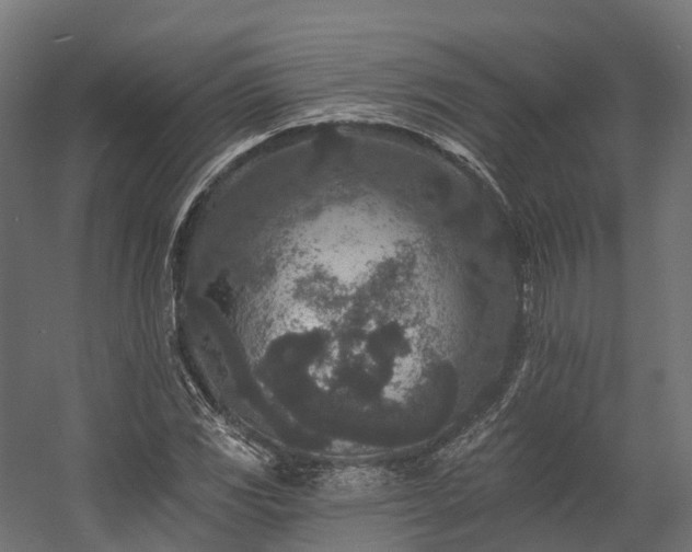 X0000058811117200510031339