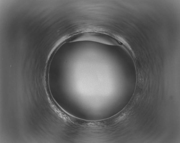 X0000058811138200510031340