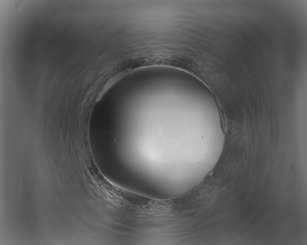 X0000058811153200510031339