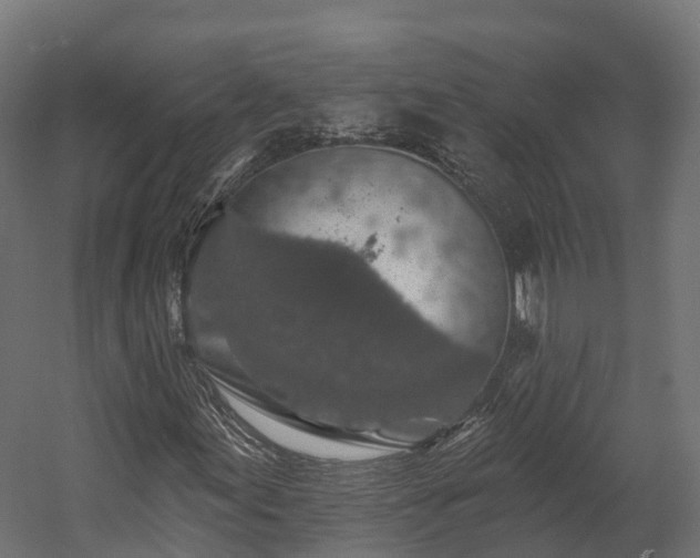 X0000058811155200510031339