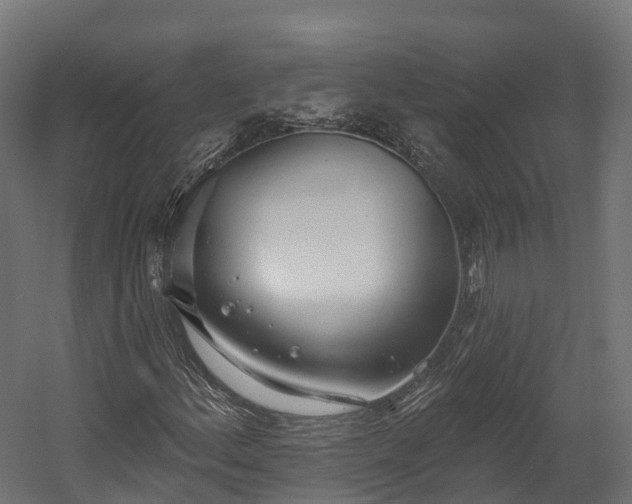 X0000058811156200510031339