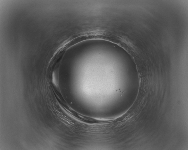 X0000058811160200510031339