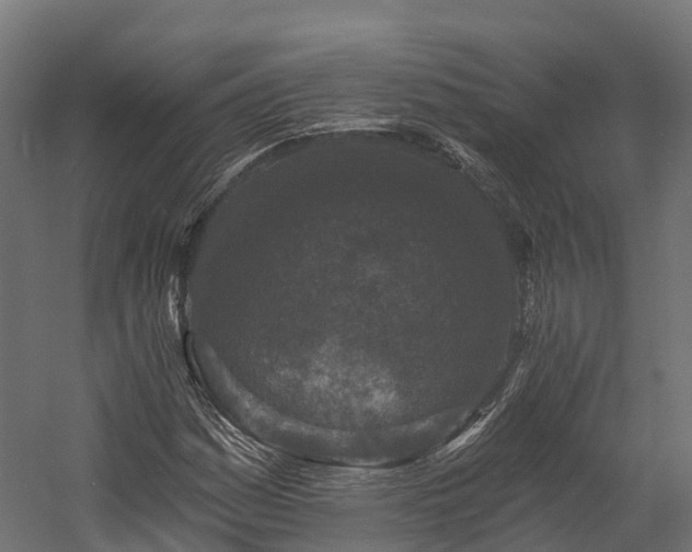 X0000058811161200510031339