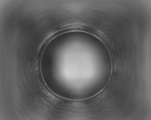 X0000058811164200510031339