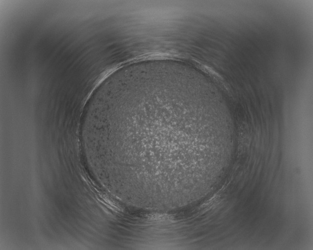 X0000058811170200510031339