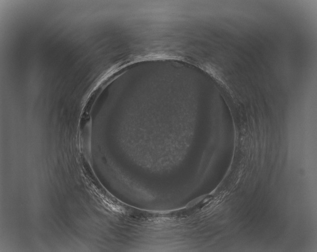 X0000058811173200510031339