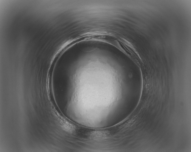 X0000058811179200510031339