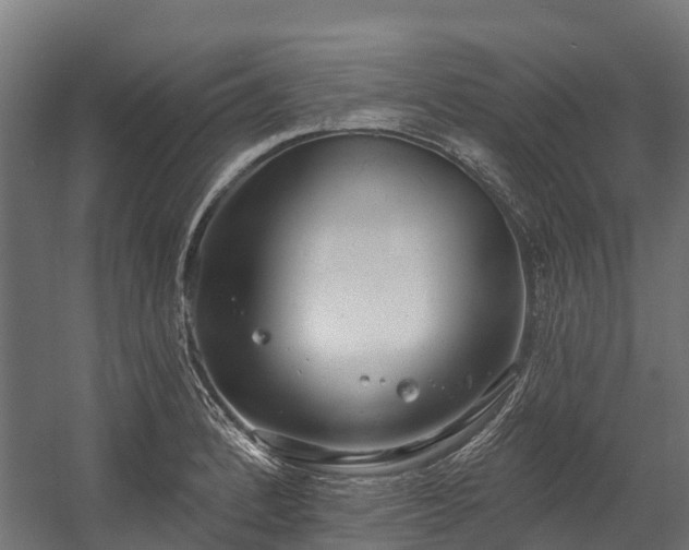 X0000058811184200510031339