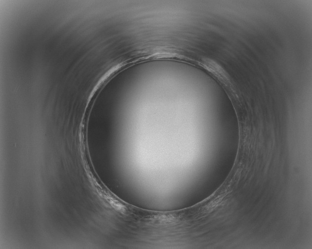 X0000058811190200510031338