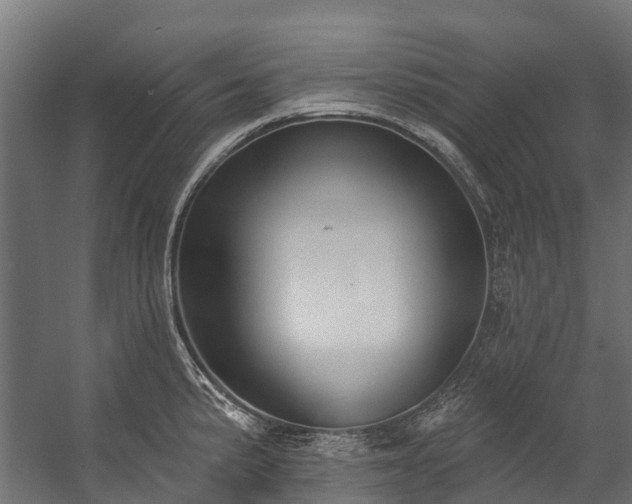 X0000058811191200510031338