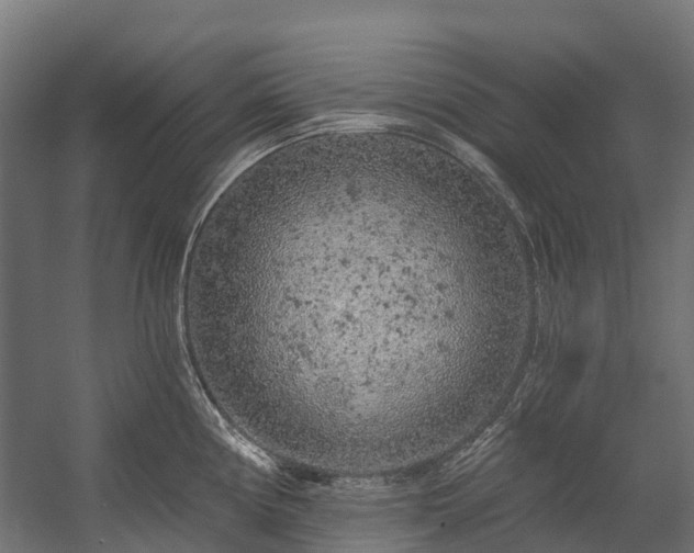 X0000058811194200510031338