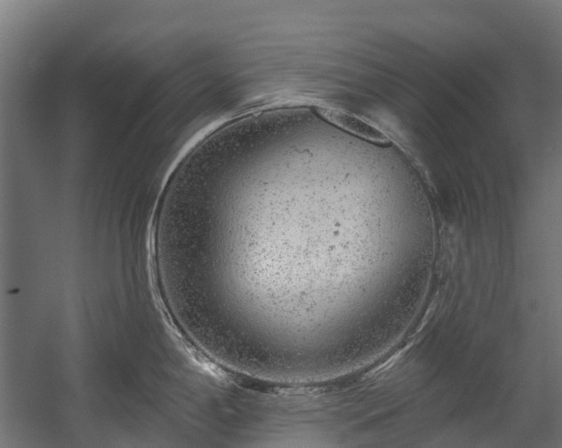 X0000058811198200510031338