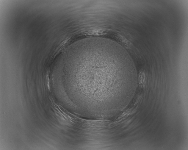 X0000058811202200510031337