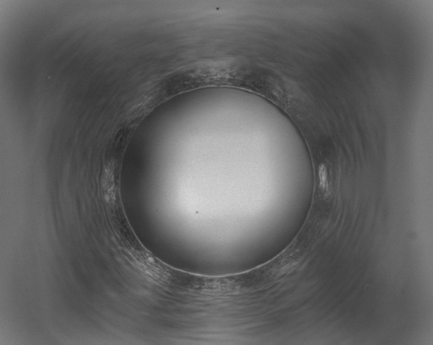 X0000058811203200510031337