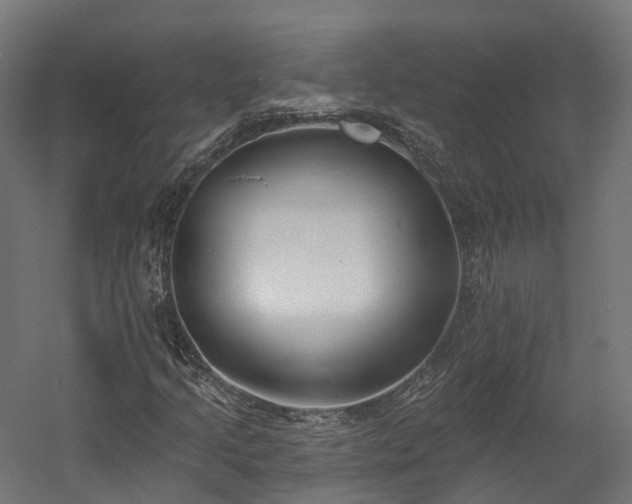 X0000058811205200510031337